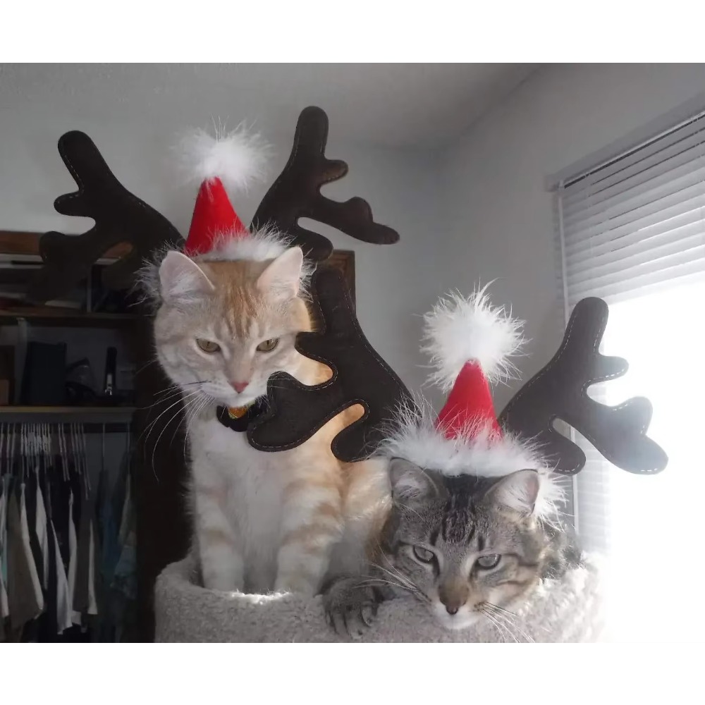 Pet Christmas Reindeer Antler  - Reindeer Antlers Headband review and price